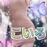 ヒメ日記 2025/07/13 18:24 投稿 こいろ 元町奥さま