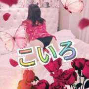 ヒメ日記 2025/07/15 23:04 投稿 こいろ 元町奥さま