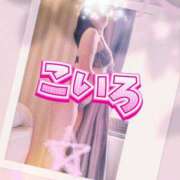 ヒメ日記 2025/07/16 07:04 投稿 こいろ 元町奥さま