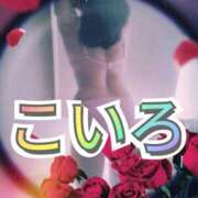 ヒメ日記 2025/07/17 19:24 投稿 こいろ 元町奥さま