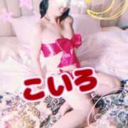 ヒメ日記 2025/07/18 07:04 投稿 こいろ 元町奥さま