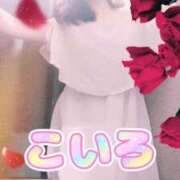 ヒメ日記 2025/07/19 07:04 投稿 こいろ 元町奥さま