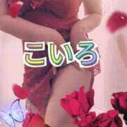 ヒメ日記 2025/07/22 18:04 投稿 こいろ 元町奥さま