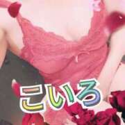 ヒメ日記 2025/07/23 07:04 投稿 こいろ 元町奥さま