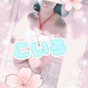 ヒメ日記 2025/08/05 19:54 投稿 こいろ 元町奥さま