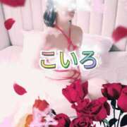 ヒメ日記 2025/08/11 07:04 投稿 こいろ 元町奥さま