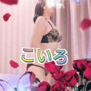 ヒメ日記 2025/08/12 12:24 投稿 こいろ 元町奥さま