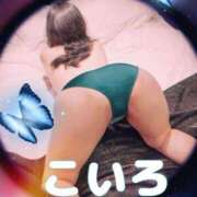 ヒメ日記 2025/08/12 20:14 投稿 こいろ 元町奥さま