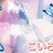 ヒメ日記 2025/08/17 12:34 投稿 こいろ 元町奥さま