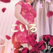 ヒメ日記 2025/08/21 07:04 投稿 こいろ 元町奥さま