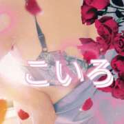 ヒメ日記 2025/08/25 07:04 投稿 こいろ 元町奥さま