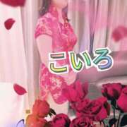 ヒメ日記 2025/08/28 07:04 投稿 こいろ 元町奥さま