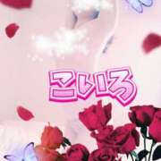 ヒメ日記 2025/08/31 07:04 投稿 こいろ 元町奥さま