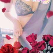 ヒメ日記 2025/09/07 11:44 投稿 こいろ 元町奥さま