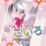 ヒメ日記 2025/09/08 07:04 投稿 こいろ 元町奥さま