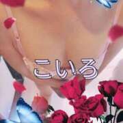 ヒメ日記 2025/09/14 07:04 投稿 こいろ 元町奥さま