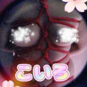 ヒメ日記 2025/09/22 07:04 投稿 こいろ 元町奥さま