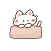 ヒメ日記 2025/11/19 08:01 投稿 芦田　まどか☆超大当たり美少女！ ～地元厳選美女がお出迎え～私の部屋にキテネ！トレビの泉