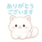 芦田　まどか☆超大当たり美少女！ 🐱💕 ～地元厳選美女がお出迎え～私の部屋にキテネ！トレビの泉