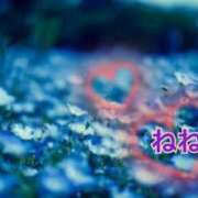 ヒメ日記 2025/07/09 00:26 投稿 ねね 小田原人妻城