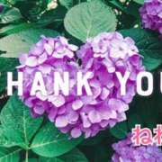 ヒメ日記 2025/07/09 00:34 投稿 ねね 小田原人妻城