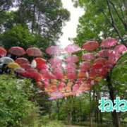 ヒメ日記 2025/07/16 00:05 投稿 ねね 小田原人妻城