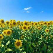 ヒメ日記 2025/07/20 12:45 投稿 ねね 小田原人妻城