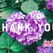 ヒメ日記 2025/07/23 23:30 投稿 ねね 小田原人妻城