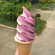 ヒメ日記 2025/08/05 12:17 投稿 ねね 小田原人妻城