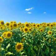 ヒメ日記 2025/08/30 21:13 投稿 ねね 小田原人妻城