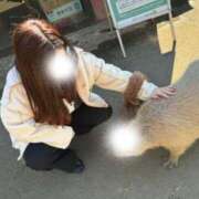 ヒメ日記 2025/09/05 12:36 投稿 ねね 小田原人妻城