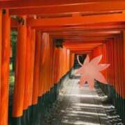 ヒメ日記 2025/09/10 12:11 投稿 ねね 小田原人妻城