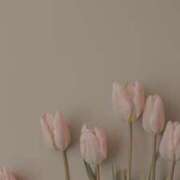 ヒメ日記 2025/10/23 16:17 投稿 ゆめ☆優しいリアルママ 松戸人妻城