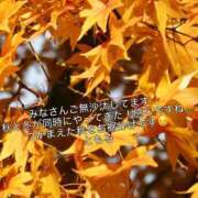 ヒメ日記 2025/11/16 20:40 投稿 ともる 奥様はエンジェル　町田店