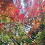 ともる 毎度毎度しあわせを 奥様はエンジェル　町田店