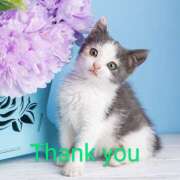 さくら さくら:初めてのお客様へ アロマエステ アイウィッシュ