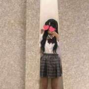 ヒメ日記 2025/10/25 13:20 投稿 ほごねこ 晴れんち