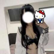 ヒメ日記 2025/11/01 13:20 投稿 ほごねこ 晴れんち