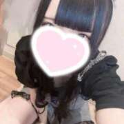 ヒメ日記 2025/11/13 18:31 投稿 ほごねこ 晴れんち