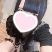 ヒメ日記 2025/11/16 16:31 投稿 ほごねこ 晴れんち