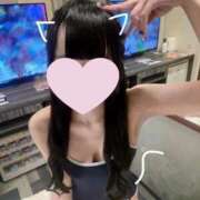 ほごねこ 12月前半🔖 .· 晴れんち