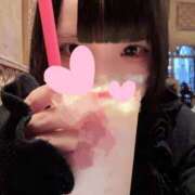 ヒメ日記 2025/12/13 11:00 投稿 ほごねこ 晴れんち