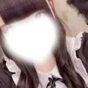 ヒメ日記 2025/12/17 18:40 投稿 ほごねこ 晴れんち