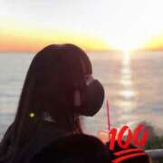 ヒメ日記 2025/12/21 21:50 投稿 ほごねこ 晴れんち