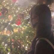 ヒメ日記 2025/12/25 22:10 投稿 ほごねこ 晴れんち