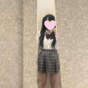 ヒメ日記 2025/12/29 13:00 投稿 ほごねこ 晴れんち