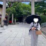 ヒメ日記 2026/01/02 13:00 投稿 ほごねこ 晴れんち