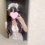 ヒメ日記 2026/01/06 12:20 投稿 ほごねこ 晴れんち