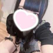 ヒメ日記 2026/01/11 12:34 投稿 ほごねこ 晴れんち