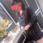 ほごねこ やあ 晴れんち